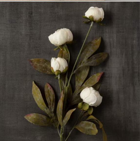 8 Pack: Cream Peony Stem by Ashland - Picture 2 of 6